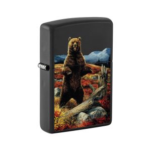48597 Zippo Bear [Linda Picken]