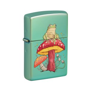 48973 Zippo Mystical Frog